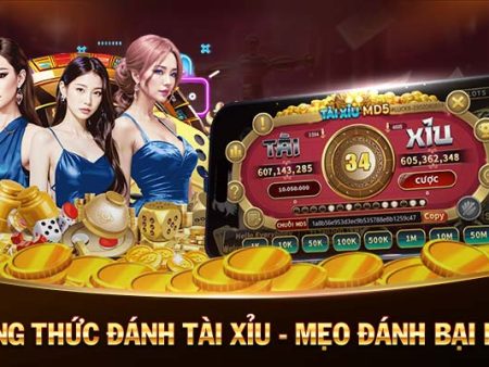 thabet casino tải game b52 đổi thưởng