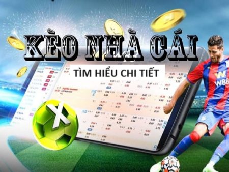 ku-Hòa mình vào không khí trận đấu – Trực tiếp bóng đá!