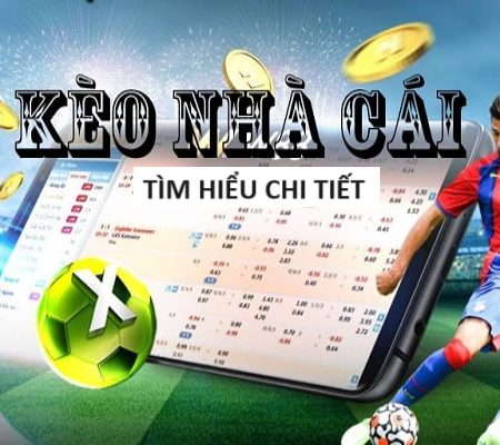 ku-Hòa mình vào không khí trận đấu – Trực tiếp bóng đá!