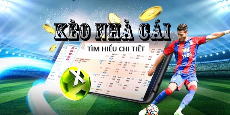 ku-Hòa mình vào không khí trận đấu - Trực tiếp bóng đá!